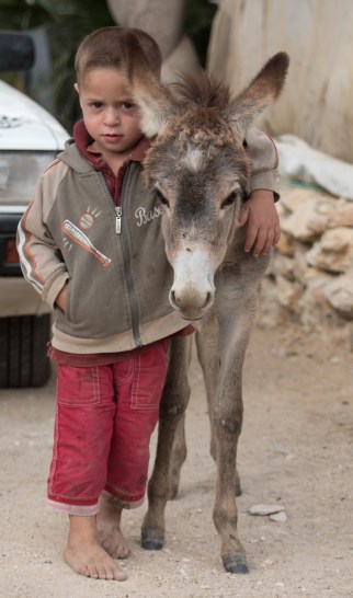 boy and donkey a seefer